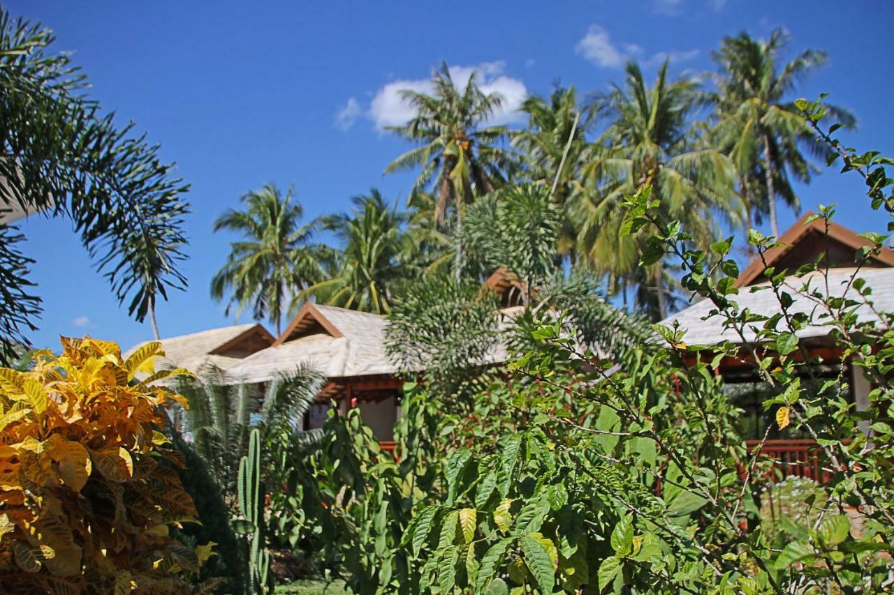 The Nest El Nido Beach Resort Экстерьер фото